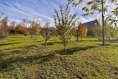 Casă individuală cu 3 camere cu Teren 4000 Mp în Bârnova - 9