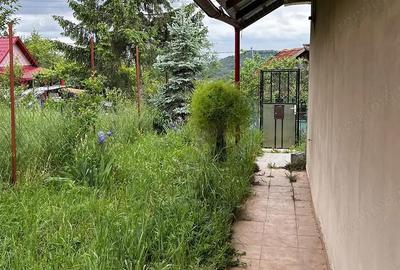 Casă cu 2 camere cu Teren 1295 Mp în Podgoria - 2