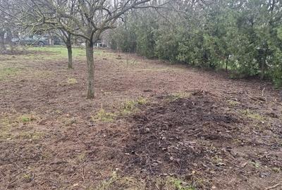 Casă cu 5 camere cu Teren 2800 Mp în Nuci - 4