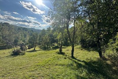 Spațiu comercial, în Valea Doftanei - 4
