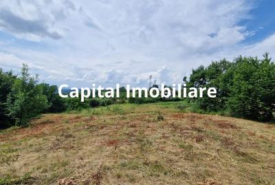Teren Baia Sprie: 5143 mp, Parcelabil, Comision 0!