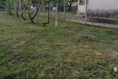 Casă cu Teren 1100 Mp în Ulmetu - 7