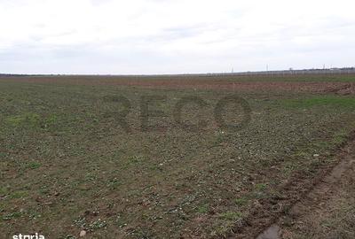 Spațiu comercial, în Sântandrei - 1