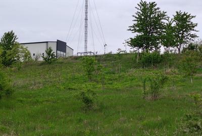 Teren intravilan 1800 mp, Centura-Ciurbesti-dubla deschidere - 2