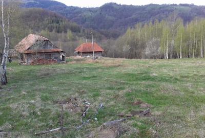 Spațiu comercial, în Chinteni - 6