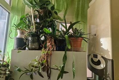 Apartament cu 2 camere decomandat în Inel I - 2