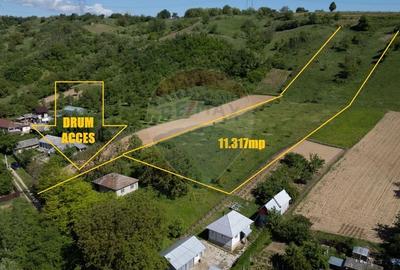 Teren 11.317 mp situat in Parava - Dragusani - Bacau