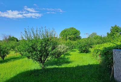 Casă individuală cu 6 camere cu Teren 2756 Mp în Băicoi - 9