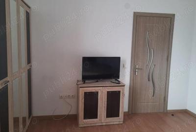 Apartament cu 2 camere decomandat în Turnișor - 8