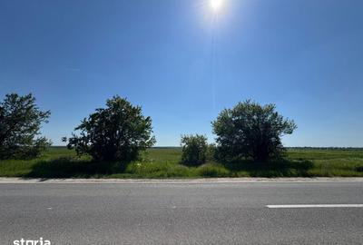 Teren de 12500 mp, în Corbii Mari - 6