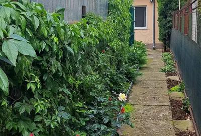 Casa de vanzare - 10