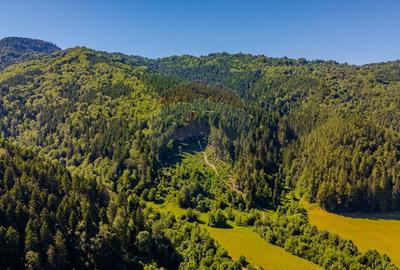 COMISION 0% Teren Bradet 7300 + 6000 mp/ Sacele /Intravilan - 4