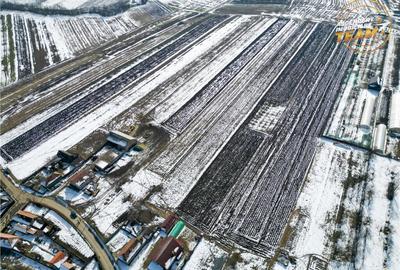 Teren de 6245 mp, în Dobolii de Jos - 6