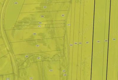 Teren de 20000 mp, în Saschiz - 1