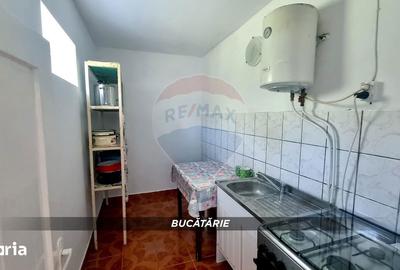 Casă cu 3 camere decomandat cu Teren 3000 Mp în Copalnic - 11