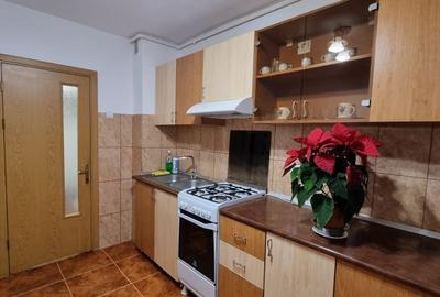 Apartament cu 2 camere decomandat în Lotrioara - 8
