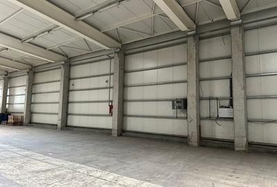 Spatiu depozitare - logistica 2.519 mp si birouri Chiajna A1 - 31
