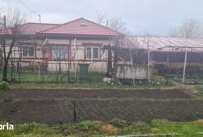 Casă cu 6 camere cu Teren 1760 Mp în Măldăeni - 7