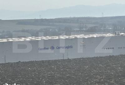 Teren de 15000 mp, în Sântuhalm - 5