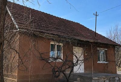 Casă cu Teren 1600 Mp în Dăbâca - 2