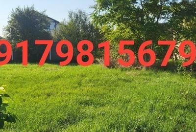 Teren de casă Blașcovici Timișoara - 3