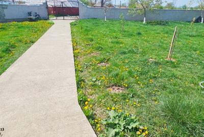 Proprietate Slobozia-Roznov, casa mansardata, teren si livada - 20