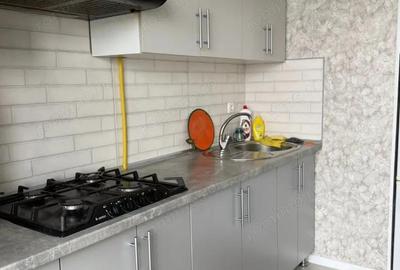 Apartament cu 1 camera de inchiriat in zona Circumvalatiunii - 3