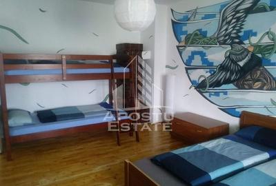 Casa individualapretabil pensiune pe Clisura Dunarii - 8