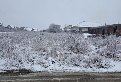 Teren de 1712 mp, în Moșoaia - 5