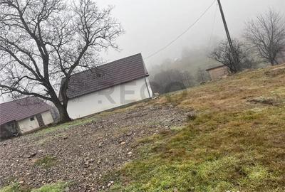 Casă cu 3 camere cu Teren 21984 Mp în Făgetu - 9