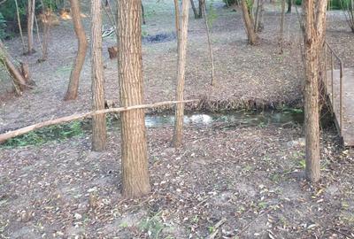 Spațiu comercial, în Malu Mare - 1