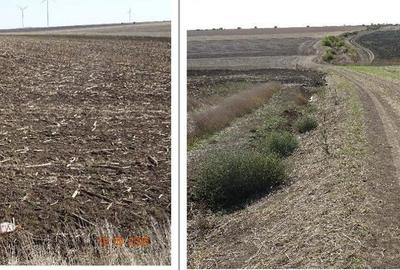 Teren de 9500 mp, în Cobadin - 4