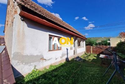 Casa 2 Camere, Teren 1081 mp, Ciugud - 3