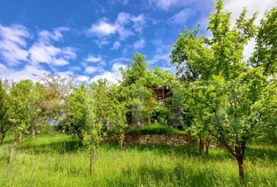 Casa 3 camere si teren 4873 mp in Pietroasa, Moldovenesti - 8