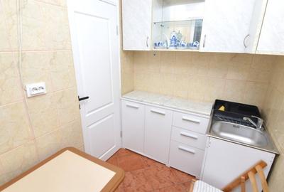 INCHIRIERE GARSONIERA DRISTOR - RACARI - LOC DE PARCARE - 12