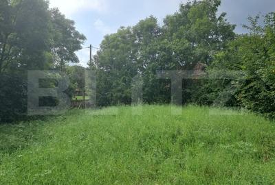 Teren Intravilan 2861 Mp  Zona Tureni - 1