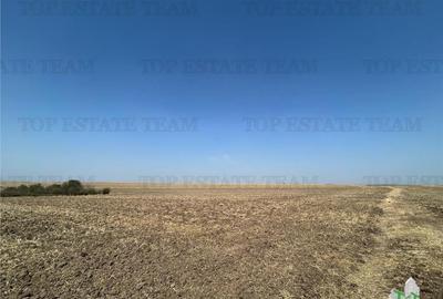 Teren extravilan, arabil, de 4200mp,in imediata apropiere de - 1