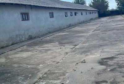 Teren de 5000 mp, în Central - 8