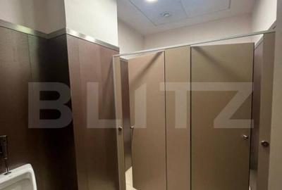 Spatiu de birouri, 375 mp, suprafete flexibile, Bd. Cetatii - 1