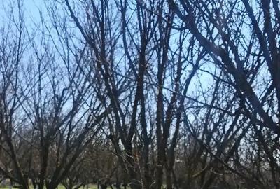 Casă cu Teren 18500 Mp în Armășești - 2