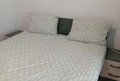 Apartament cu 2 camere decomandat, mobilat în Central - 2