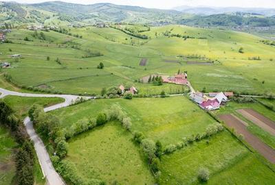 Teren de 7948 mp, în Barcani - 3