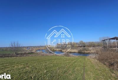 Teren de 646 mp, în Dascălu - 5