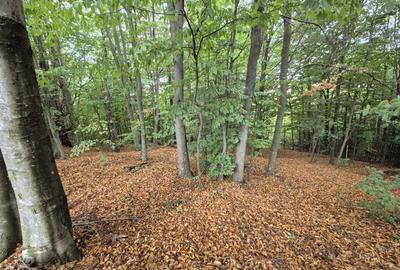 Spațiu comercial, în Vânători - 1