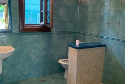 Casa individuala de inchiriat cu o camera - zona Ghiroda - 8