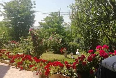 Casă cu 4 camere cu Teren 500 Mp în Dezmir - 6