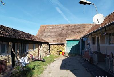 Casă cu 3 camere cu Teren 3740 Mp în Fântâna - 7