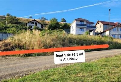 Teren cu aut.construire,Sura Mare,langa Sibiu,comision 0 - 2