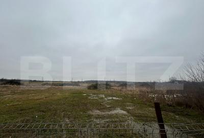 Teren de 1716 mp, în Priseaca - 1