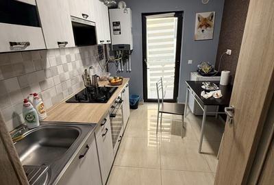 Garsonieră decomandată în Vișan - 7